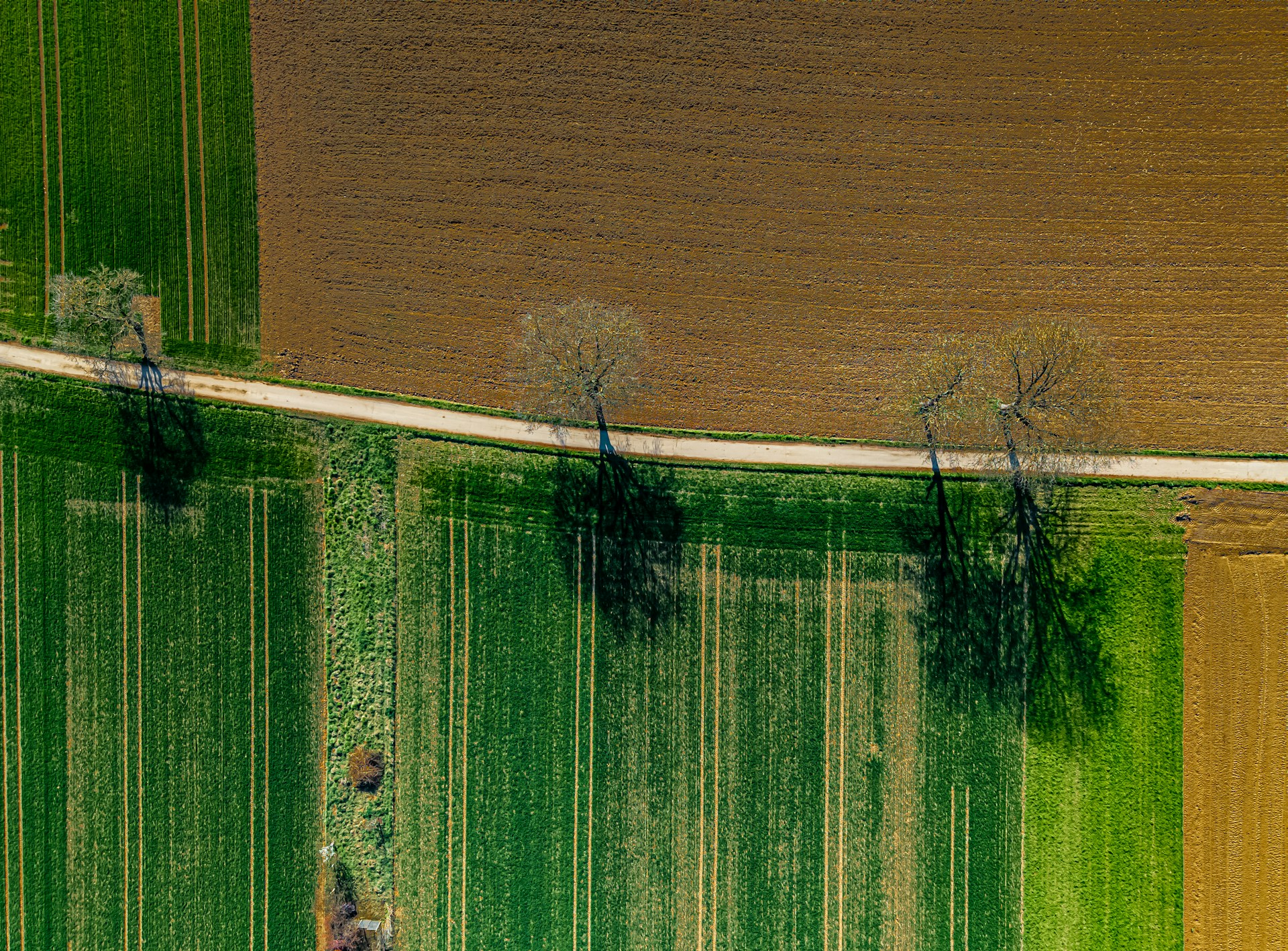 bernd-dittrich-Ph-LHRrpv-k-unsplash